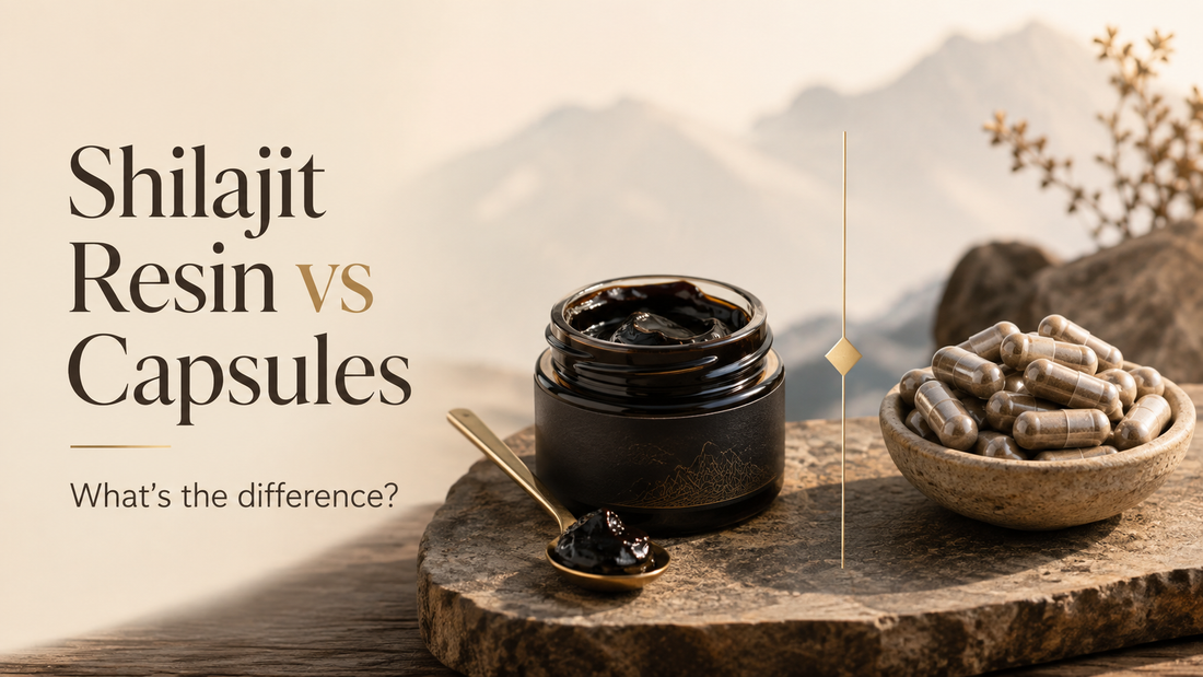 Shilajit Resin vs Capsules: What’s the Difference?