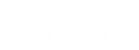 Logo of Colossal Health with white text on a white background